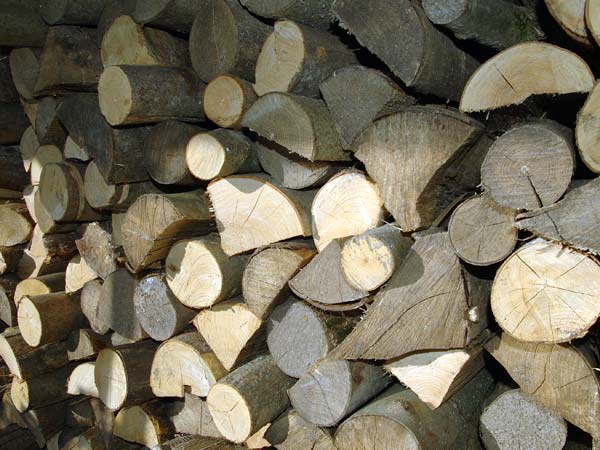 Costo-legname-per-stufa-verona